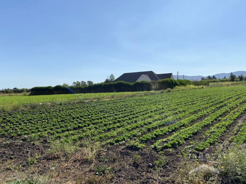 HERMOSAS PARCELAS DE AGRADO EN QUILLOTA.