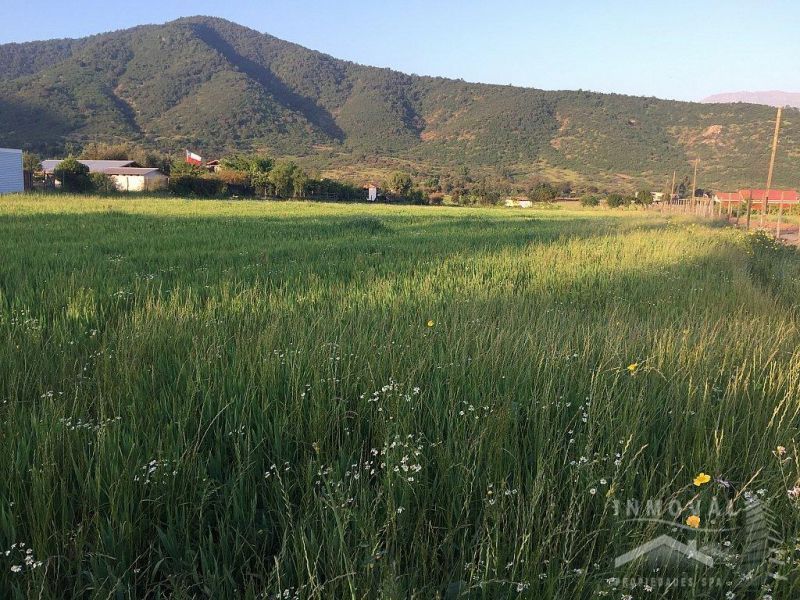 HERMOSA PARCELA, MELÓN, ORILLA CARRETERA, LUZ, AGUA Y CERCO.