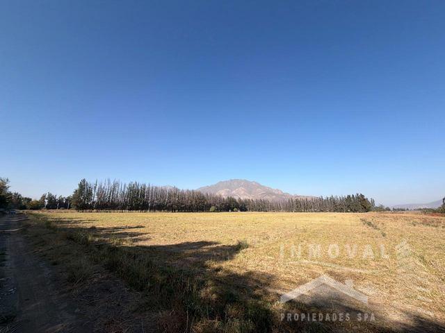 HERMOSO FUNDO DE 67 HA EN SAN FELIPE.  