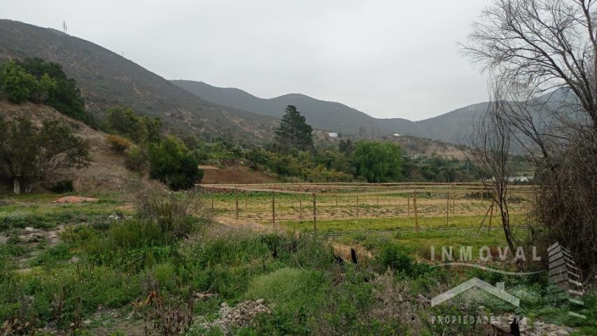 PARCELA DE 5,3 HETAREAS, LA CALERA