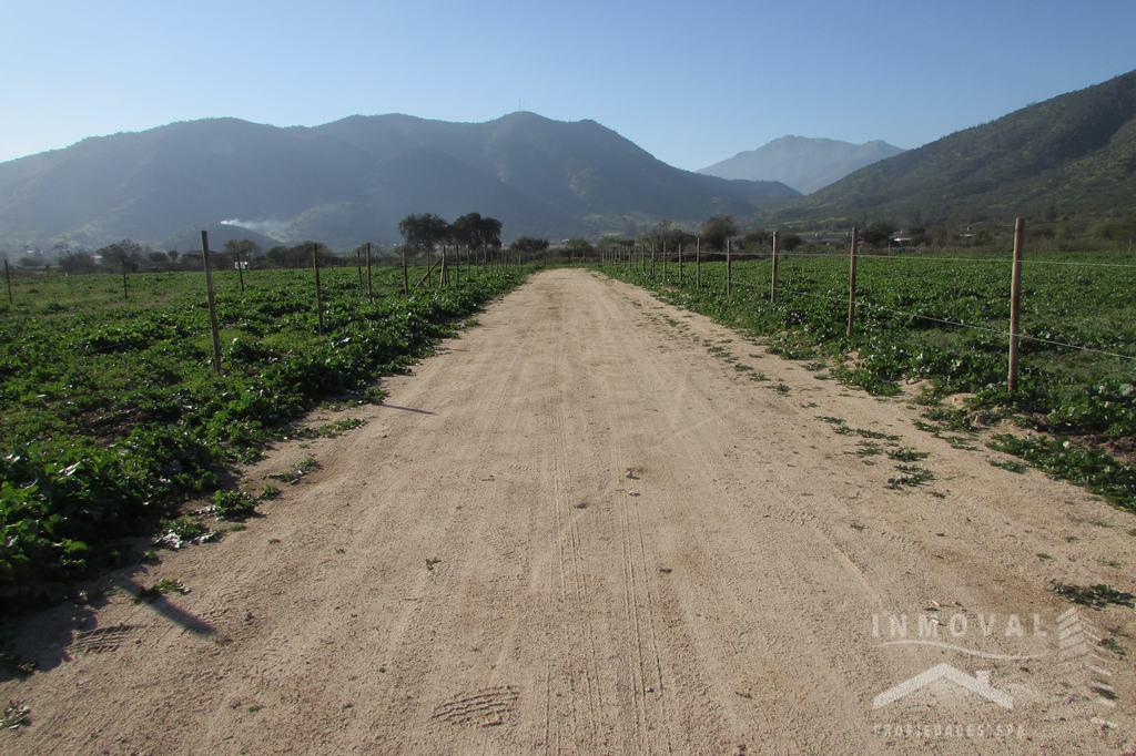 PARCELA CON ELECTRICIDAD Y AGUA, EN EL MELÓN