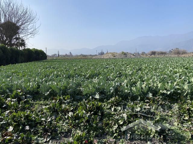 HERMOSA PARCELA DE AGRADO EN QUILLOTA.