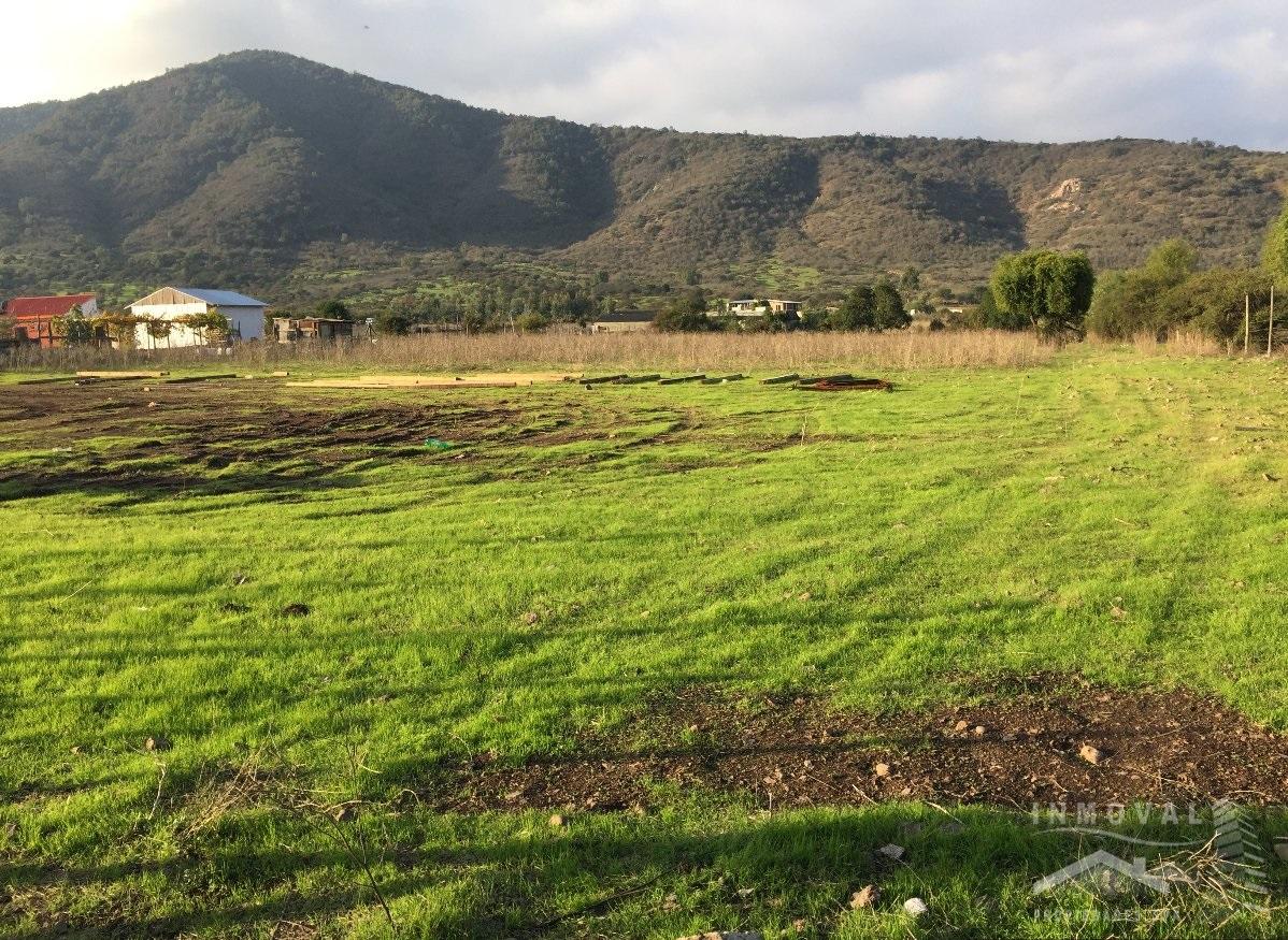 HERMOSA PARCELA SECTOR COLLAGUE DE EL MELÓN.
