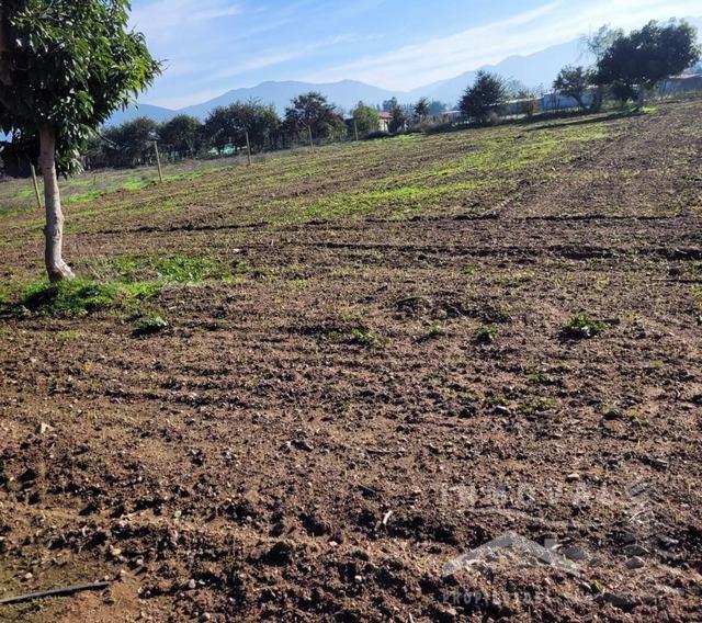 HERMOSA PARCELA EN LA HACIENDA EL MELÓN.