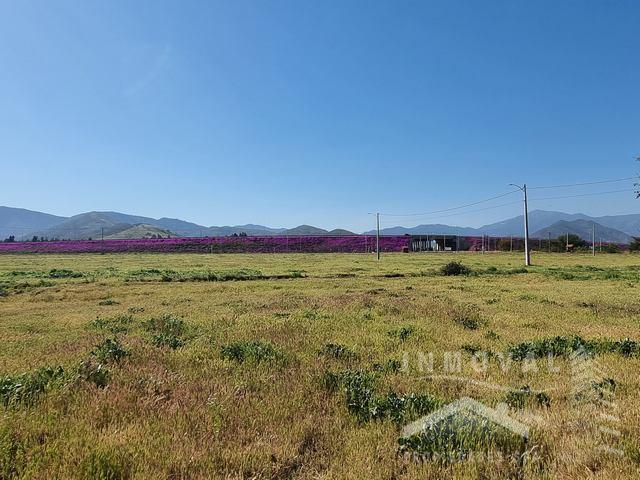 HERMOSA PARCELA EN SECTOR LAS ROMASAS DE NOGALES.