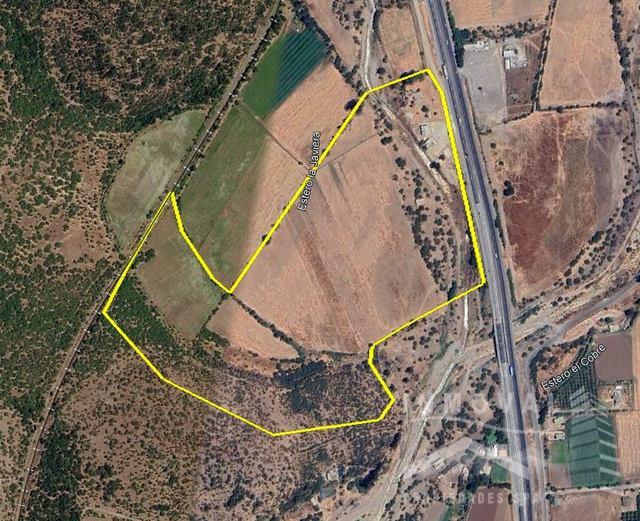 HERMOSA PARCELA DE 15 HETAREAS EN EL MELÓN.