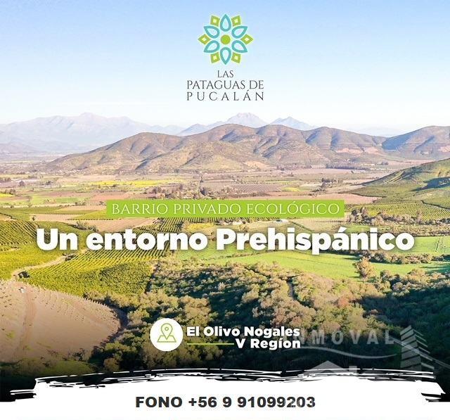 EXCLUSIVAS PARCELAS EN NOGALES.